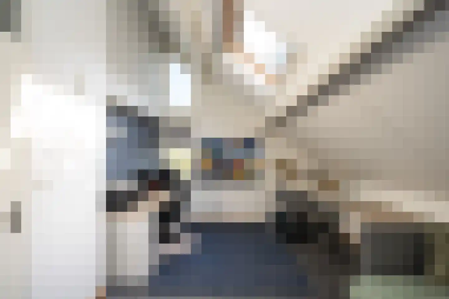 Hoofdweg 103 De Cocksdorp thumbnail 33