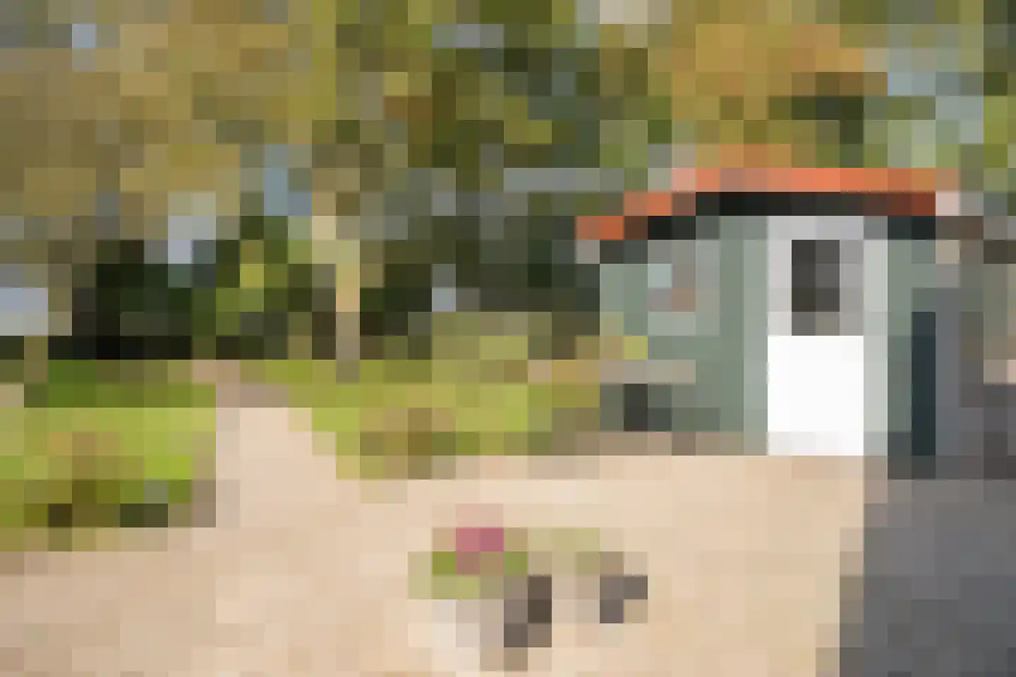 Hoofdweg 103 De Cocksdorp thumbnail 42