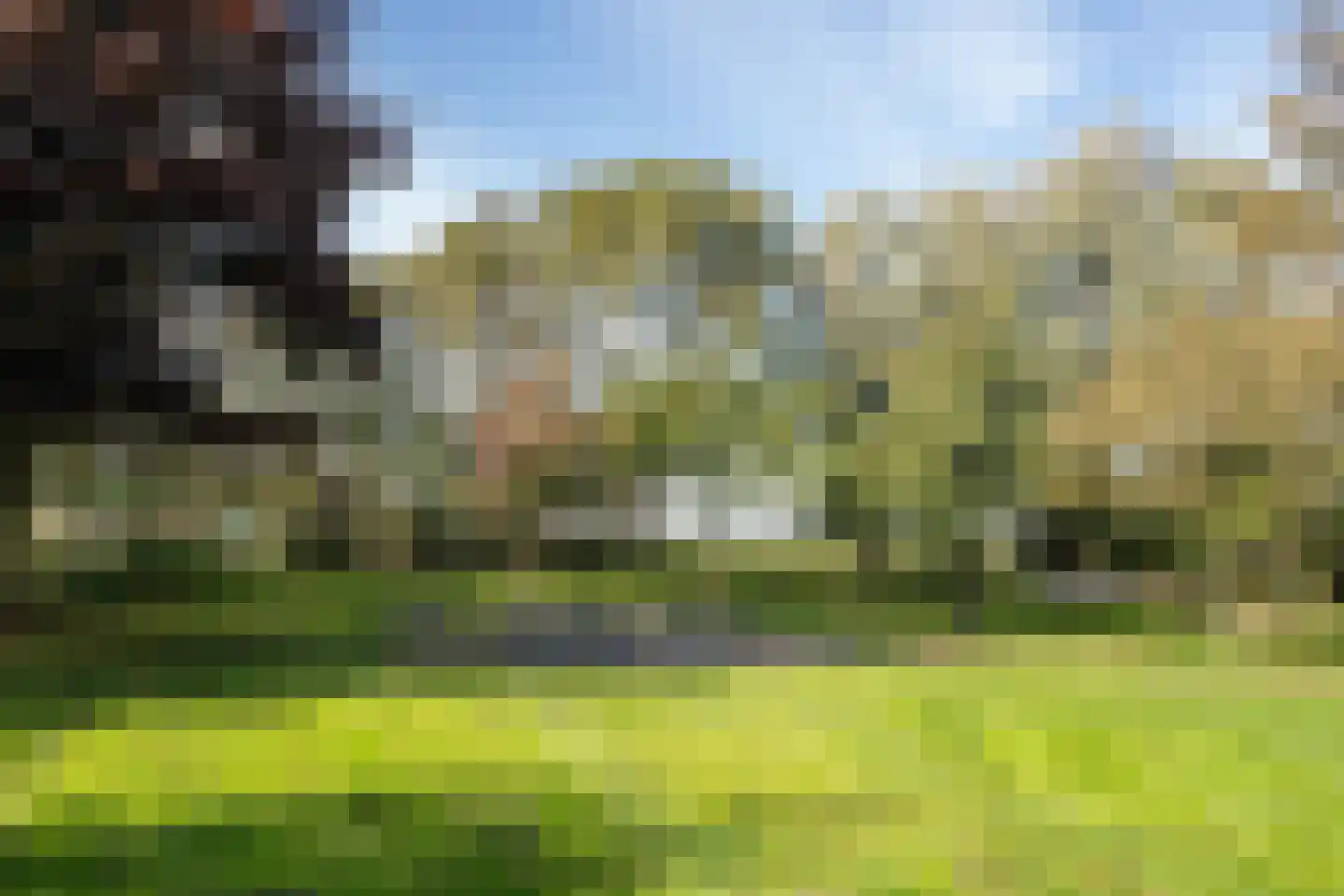 Hoofdweg 103 De Cocksdorp thumbnail 43
