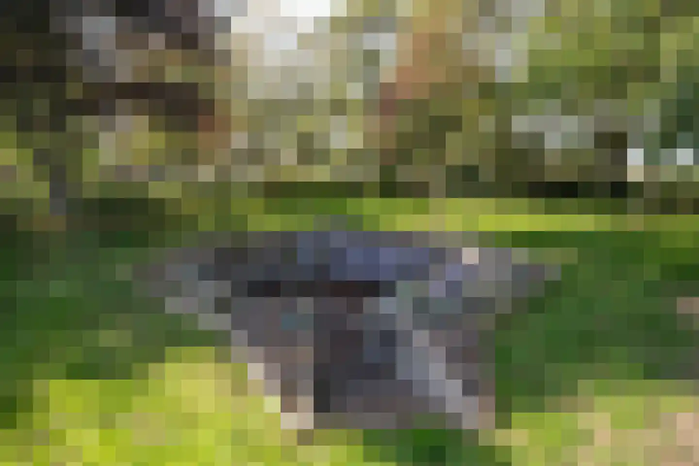 Hoofdweg 103 De Cocksdorp thumbnail 44