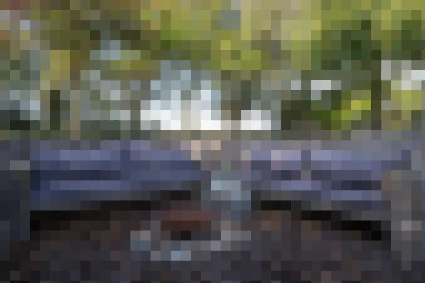Hoofdweg 103 De Cocksdorp thumbnail 45