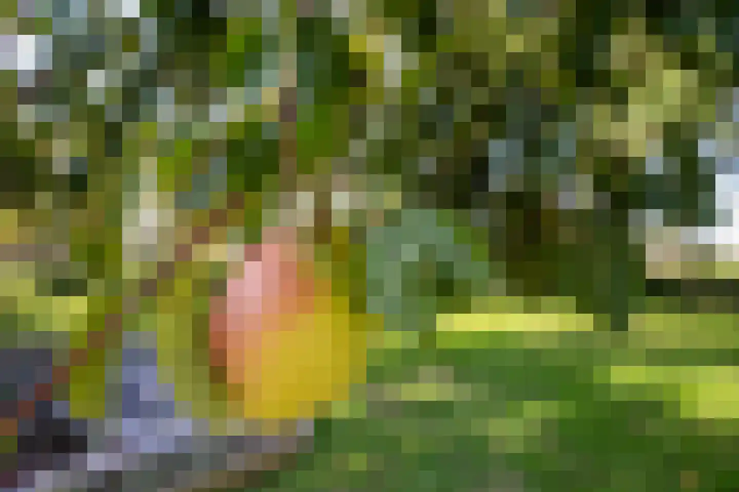 Hoofdweg 103 De Cocksdorp thumbnail 47