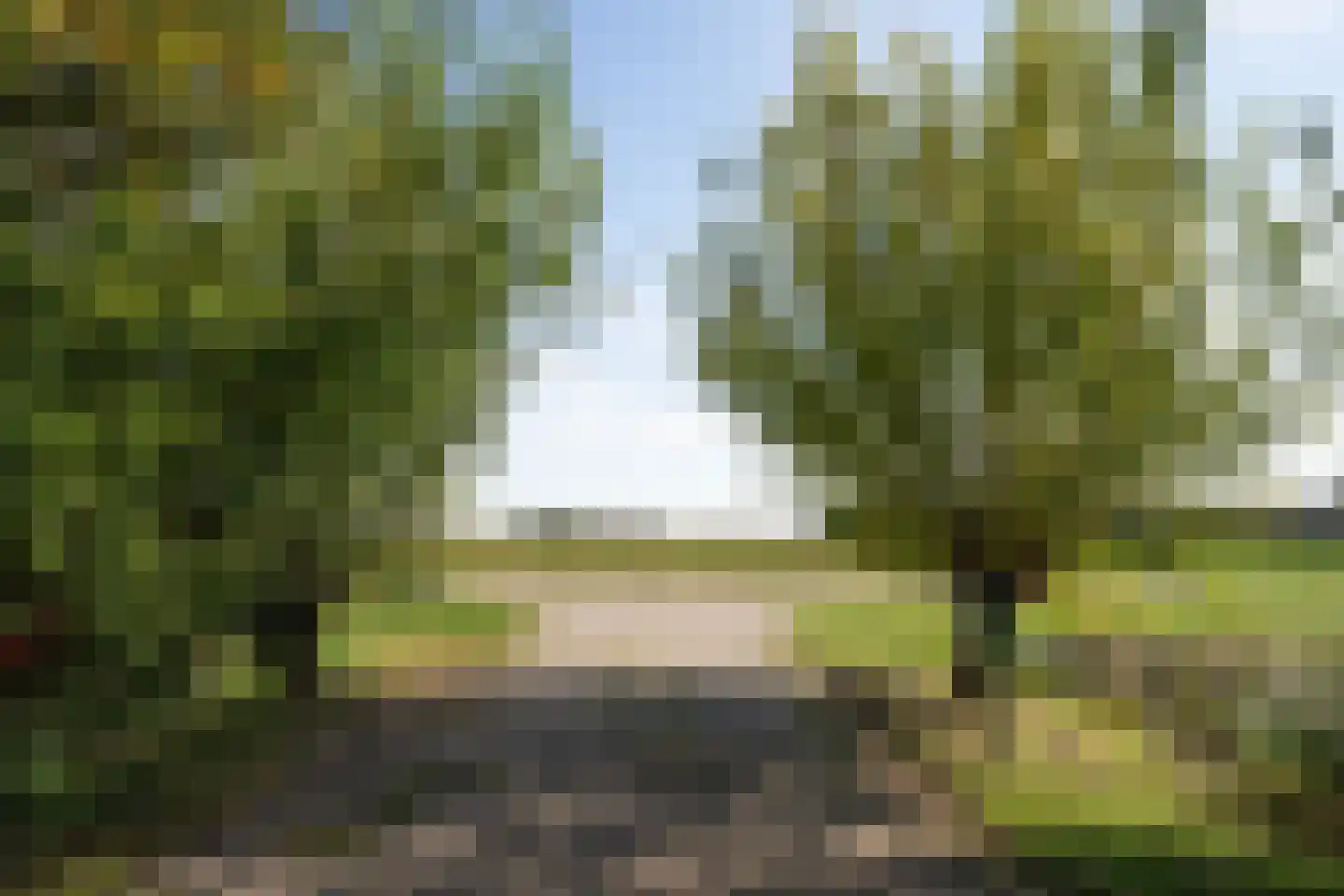 Hoofdweg 103 De Cocksdorp thumbnail 54
