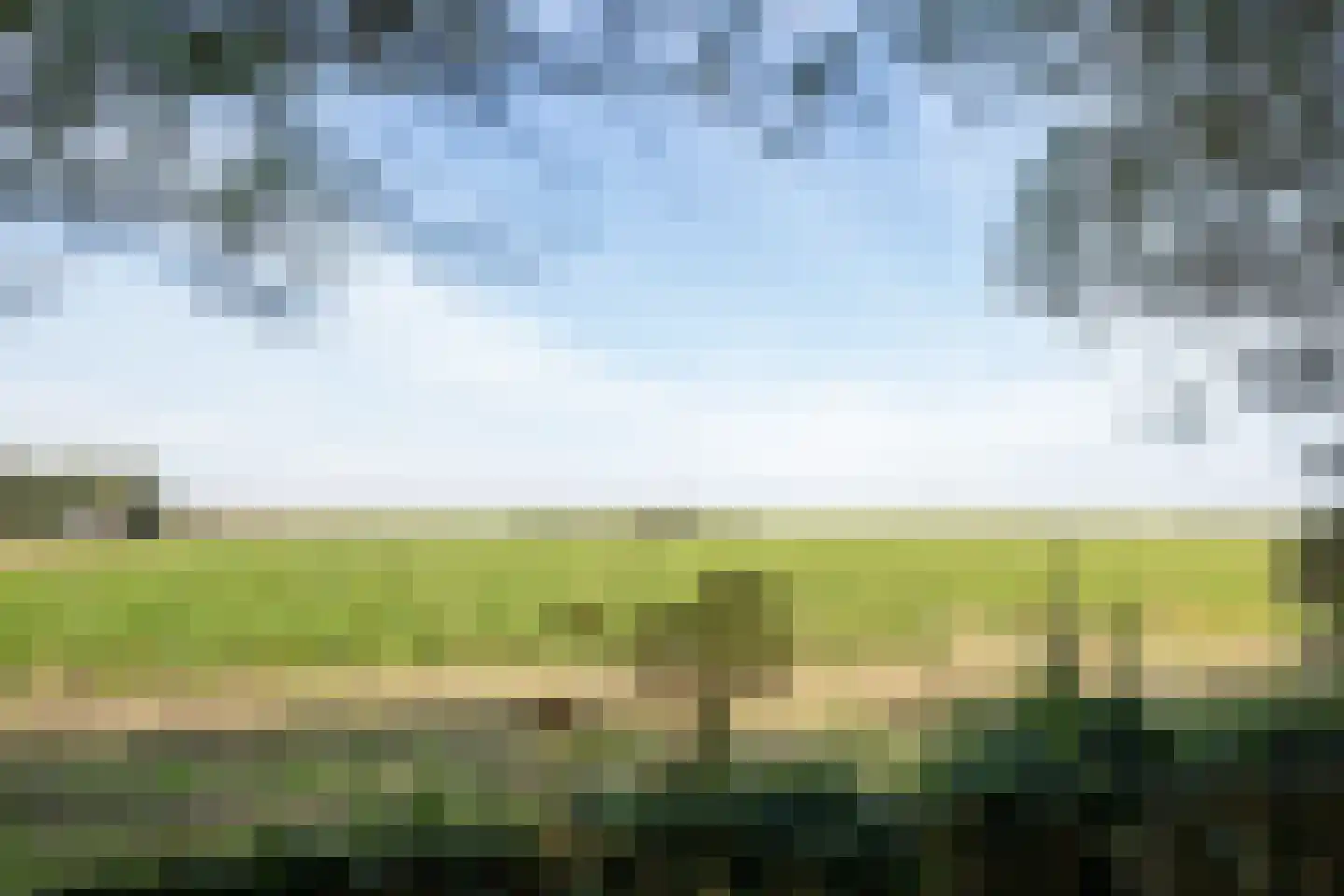 Hoofdweg 103 De Cocksdorp thumbnail 55