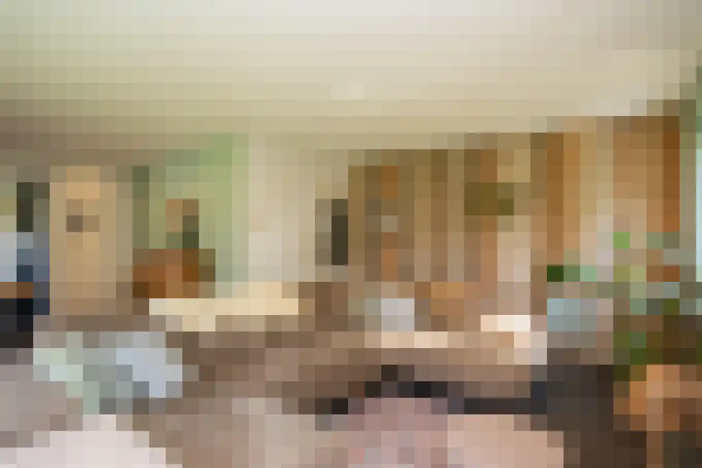 Hoofdweg 103 De Cocksdorp thumbnail 8