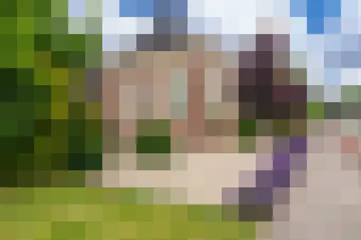 Hoofdweg 103 Midwolda thumbnail 6