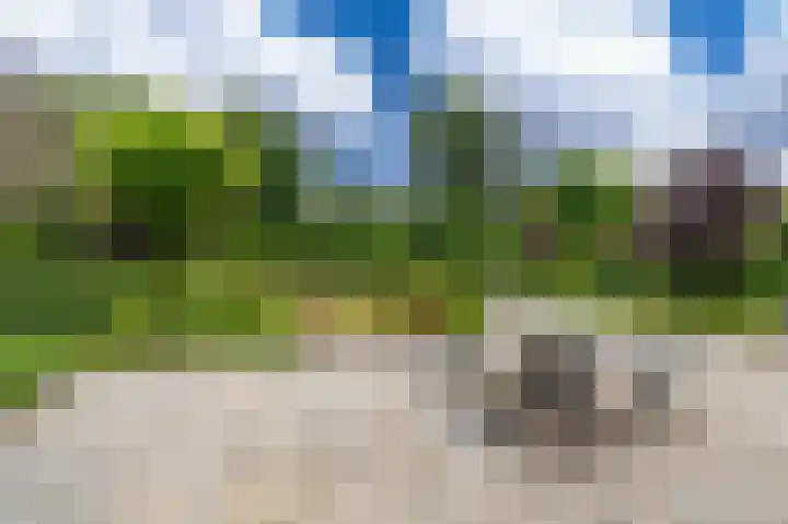 Hoofdweg 103 Midwolda thumbnail 66