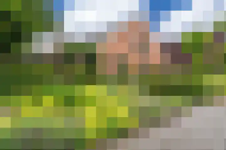 Hoofdweg 103 Midwolda thumbnail 71