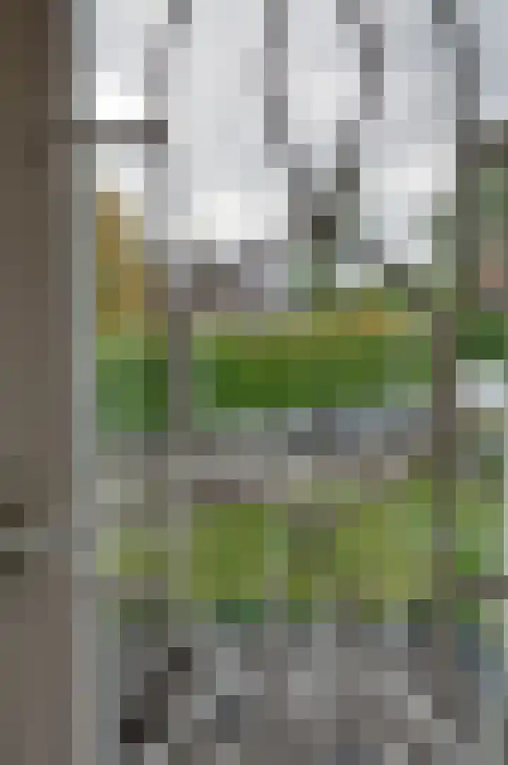 Hoofdweg 108 Eelde thumbnail 34