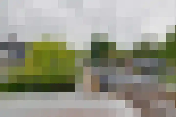 Hoofdweg 108 Eelde thumbnail 37