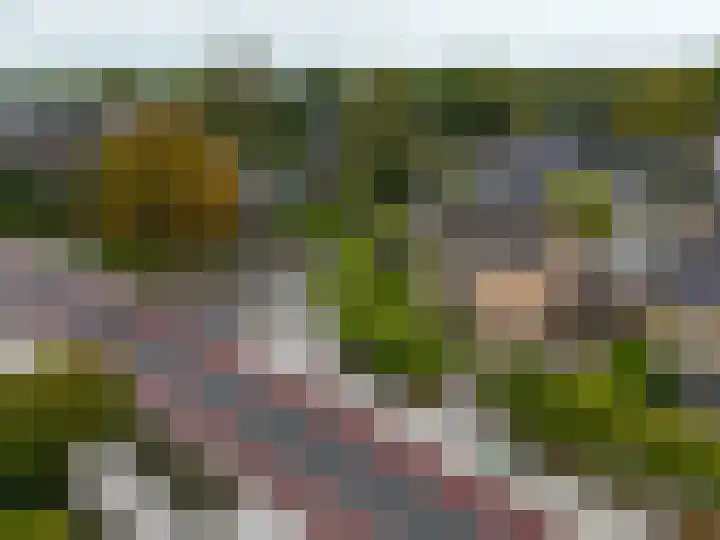 Hoofdweg 108 Eelde thumbnail 52
