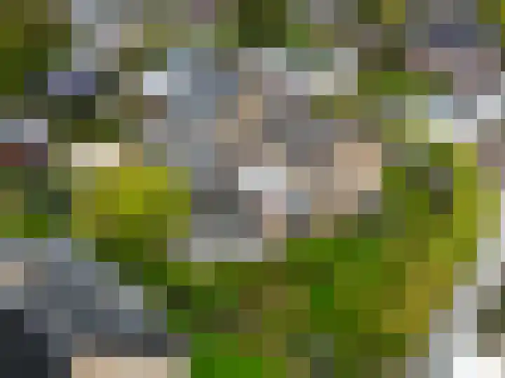 Hoofdweg 108 Eelde thumbnail 53