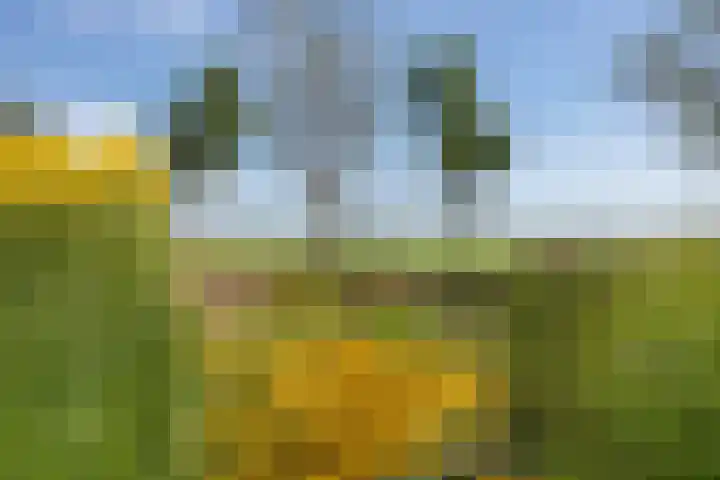 Hoofdweg 112 Burdaard thumbnail 11