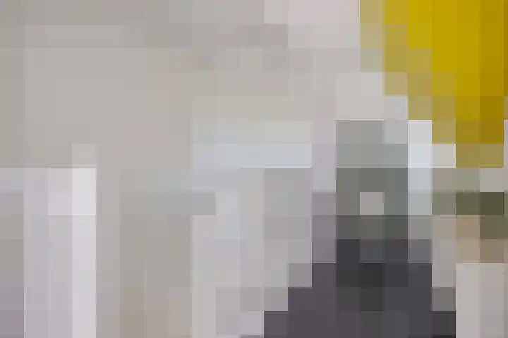 Hoofdweg 112 Burdaard thumbnail 22