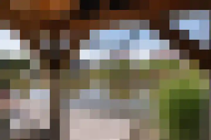 Hoofdweg 112 Burdaard thumbnail 38