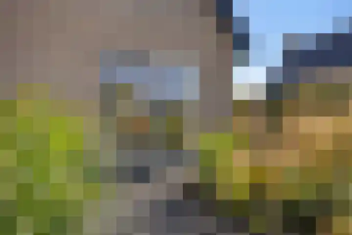 Hoofdweg 112 Burdaard thumbnail 45