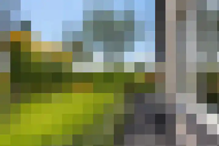Hoofdweg 112 Burdaard thumbnail 46