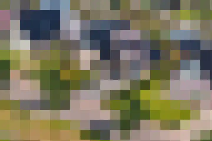 Hoofdweg 112 Burdaard thumbnail 50