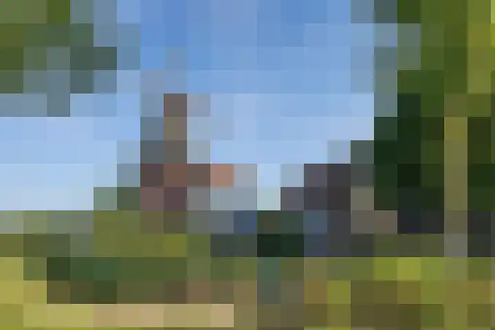 Hoofdweg 112 Burdaard thumbnail 55