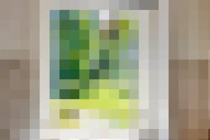 Hoofdweg 115 Schildwolde thumbnail 20