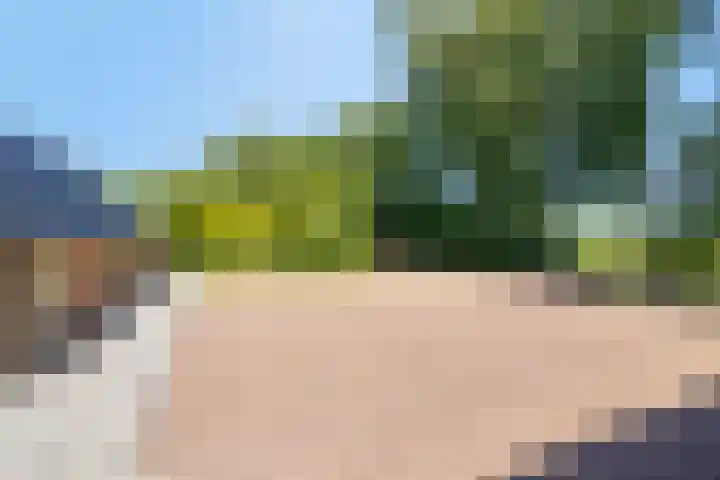 Hoofdweg 115 Schildwolde thumbnail 35