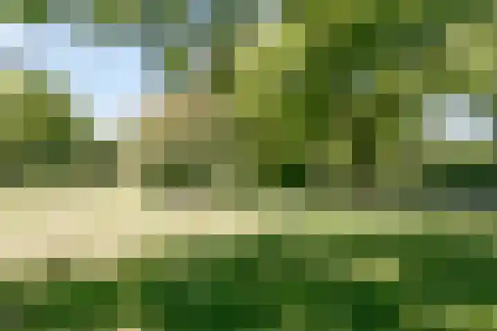 Hoofdweg 115 Schildwolde thumbnail 38