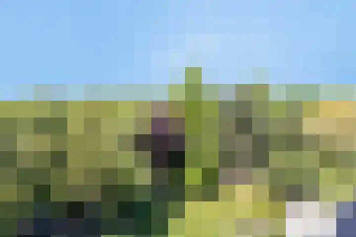 Hoofdweg 115 Schildwolde thumbnail 39