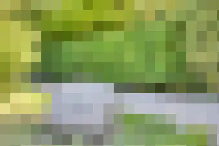 Hoofdweg 115 Schildwolde thumbnail 4