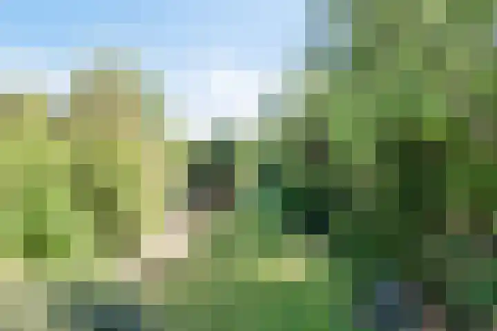 Hoofdweg 115 Schildwolde thumbnail 41