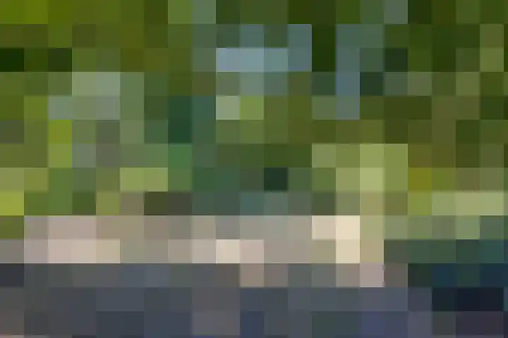 Hoofdweg 115 Schildwolde thumbnail 42