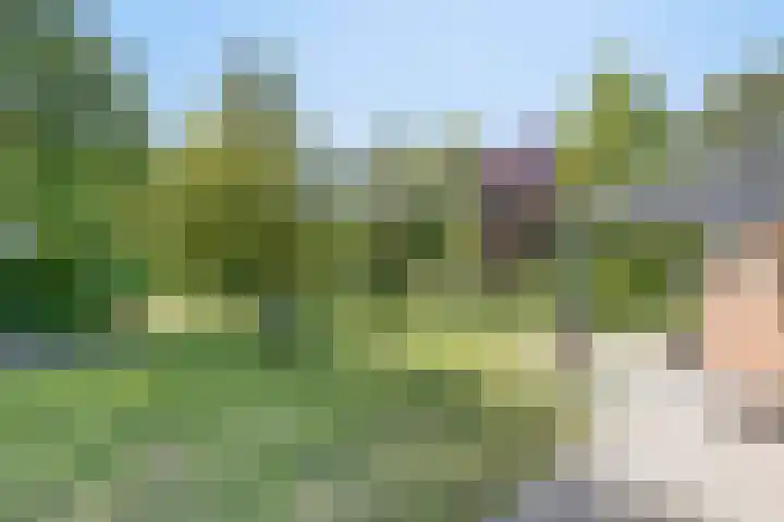 Hoofdweg 115 Schildwolde thumbnail 45