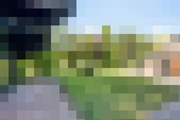 Hoofdweg 115 Schildwolde thumbnail 47