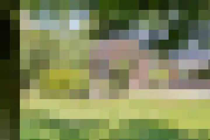 Hoofdweg 115 Schildwolde thumbnail 49