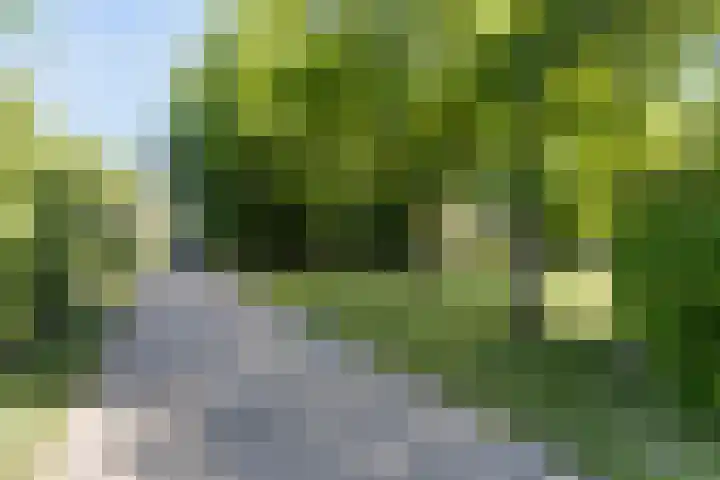 Hoofdweg 115 Schildwolde thumbnail 5
