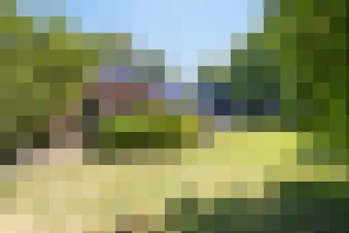 Hoofdweg 115 Schildwolde thumbnail 50