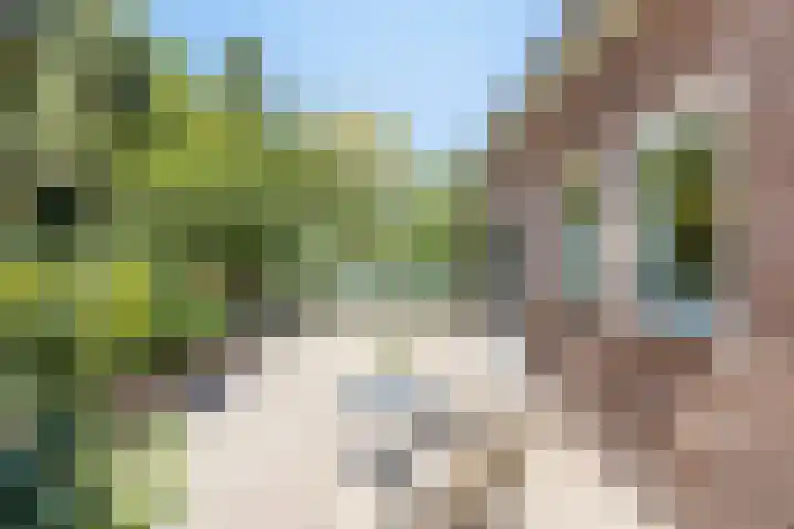 Hoofdweg 115 Schildwolde thumbnail 52