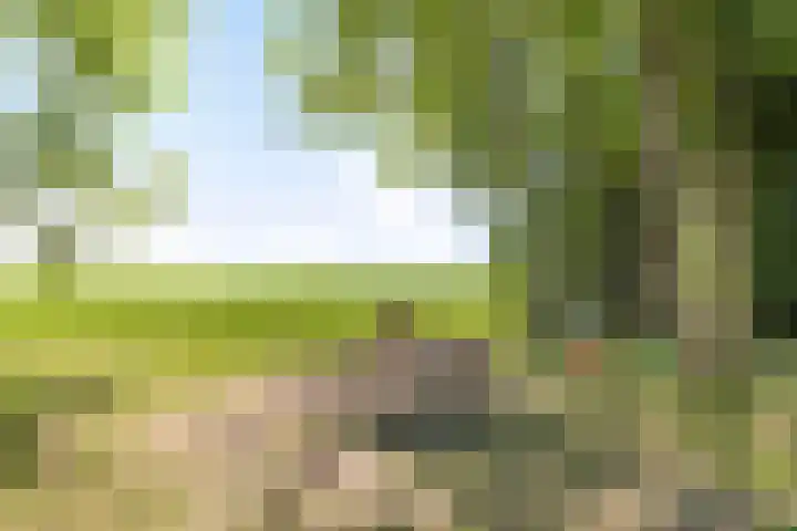 Hoofdweg 115 Schildwolde thumbnail 54