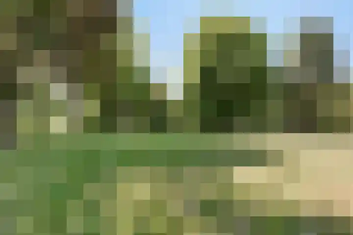 Hoofdweg 115 Schildwolde thumbnail 55