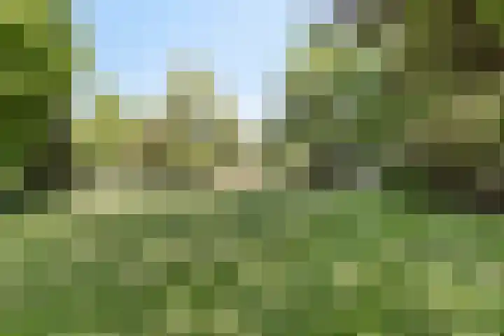 Hoofdweg 115 Schildwolde thumbnail 56