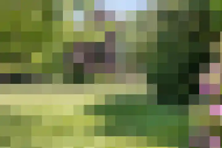 Hoofdweg 115 Schildwolde thumbnail 57