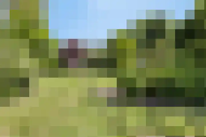 Hoofdweg 115 Schildwolde thumbnail 59