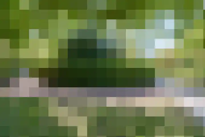 Hoofdweg 115 Schildwolde thumbnail 6