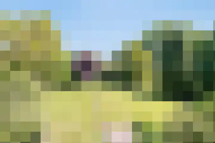 Hoofdweg 115 Schildwolde thumbnail 61