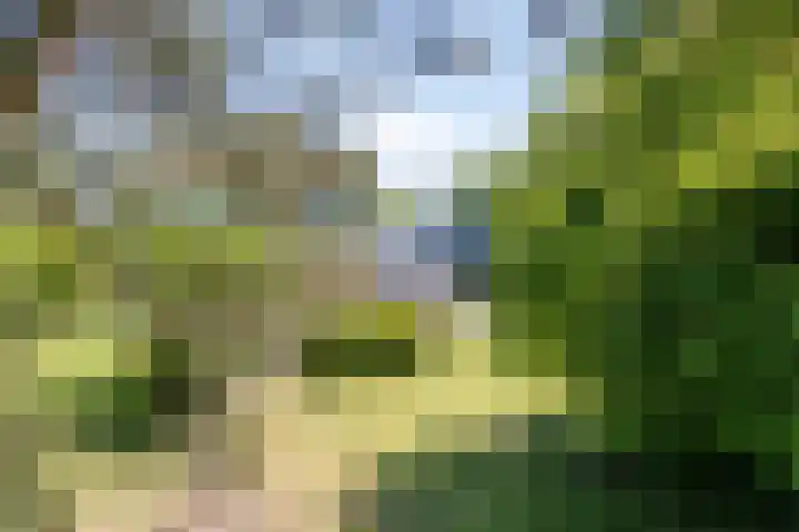 Hoofdweg 115 Schildwolde thumbnail 62