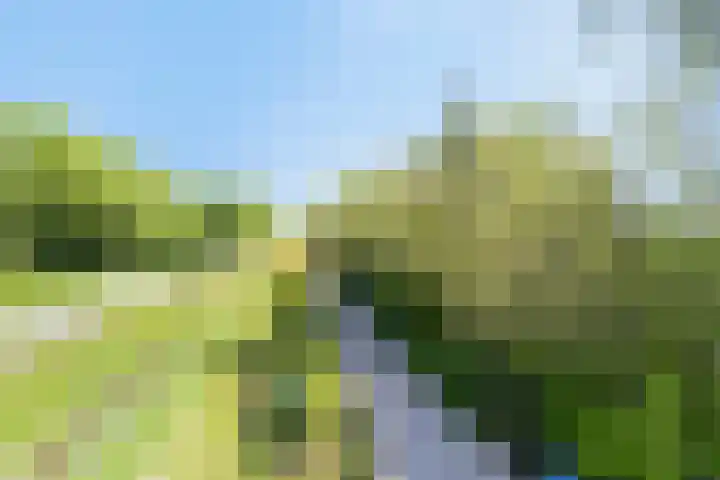 Hoofdweg 115 Schildwolde thumbnail 64