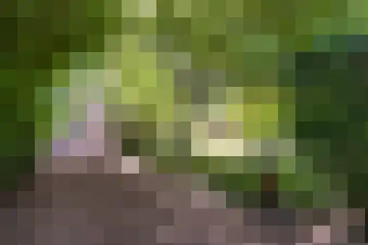Hoofdweg 115 Schildwolde thumbnail 7