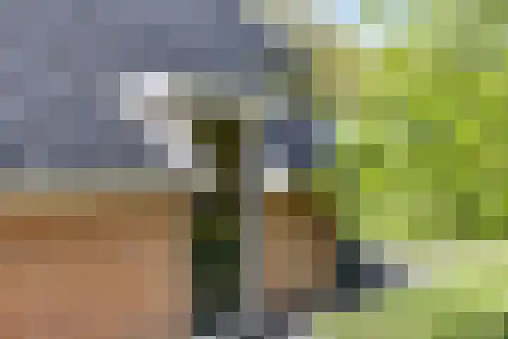 Hoofdweg 115 Schildwolde thumbnail 9