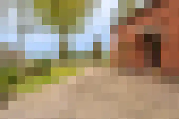 Hoofdweg 117 Kolham thumbnail 11
