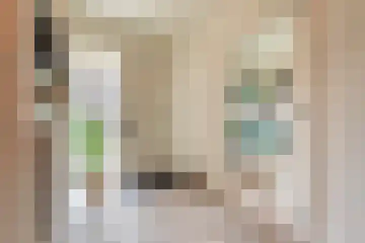 Hoofdweg 117 Kolham thumbnail 14