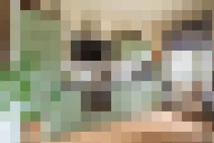 Hoofdweg 117 Kolham thumbnail 18
